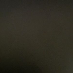 Meet your Posher, Bryce